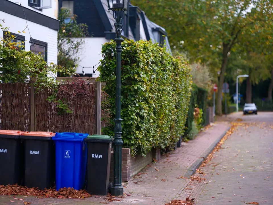 Wheelie bins lined up along a residential street